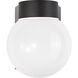 Brentwood 1 Light 7 inch Black Outdoor Wall Mount