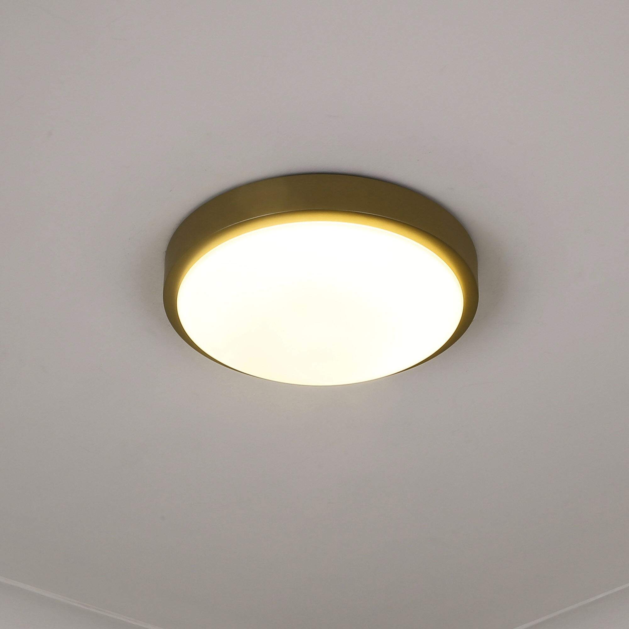Gabi LED 10 inch Brushed Champagne Brass Flush Mount Ceiling Light