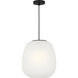 Drew & Jonathan Nico 1 Light 13.25 inch Midnight Black Pendant Ceiling Light in Standard