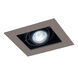 Signature MR16 Silver & Black Recessed Lighting in Silver/Black