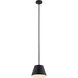 Lilly 1 Light 12 inch Matte Black Pendant Ceiling Light