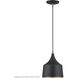 Bolita 8 inch Bronze with Antique Brass Accents LED Pendant Ceiling Light