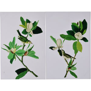 Magnolia Blooms Green Wall Art, Set of 2