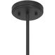 Bartlet 1 Light 14 inch Matte Black Pendant Ceiling Light