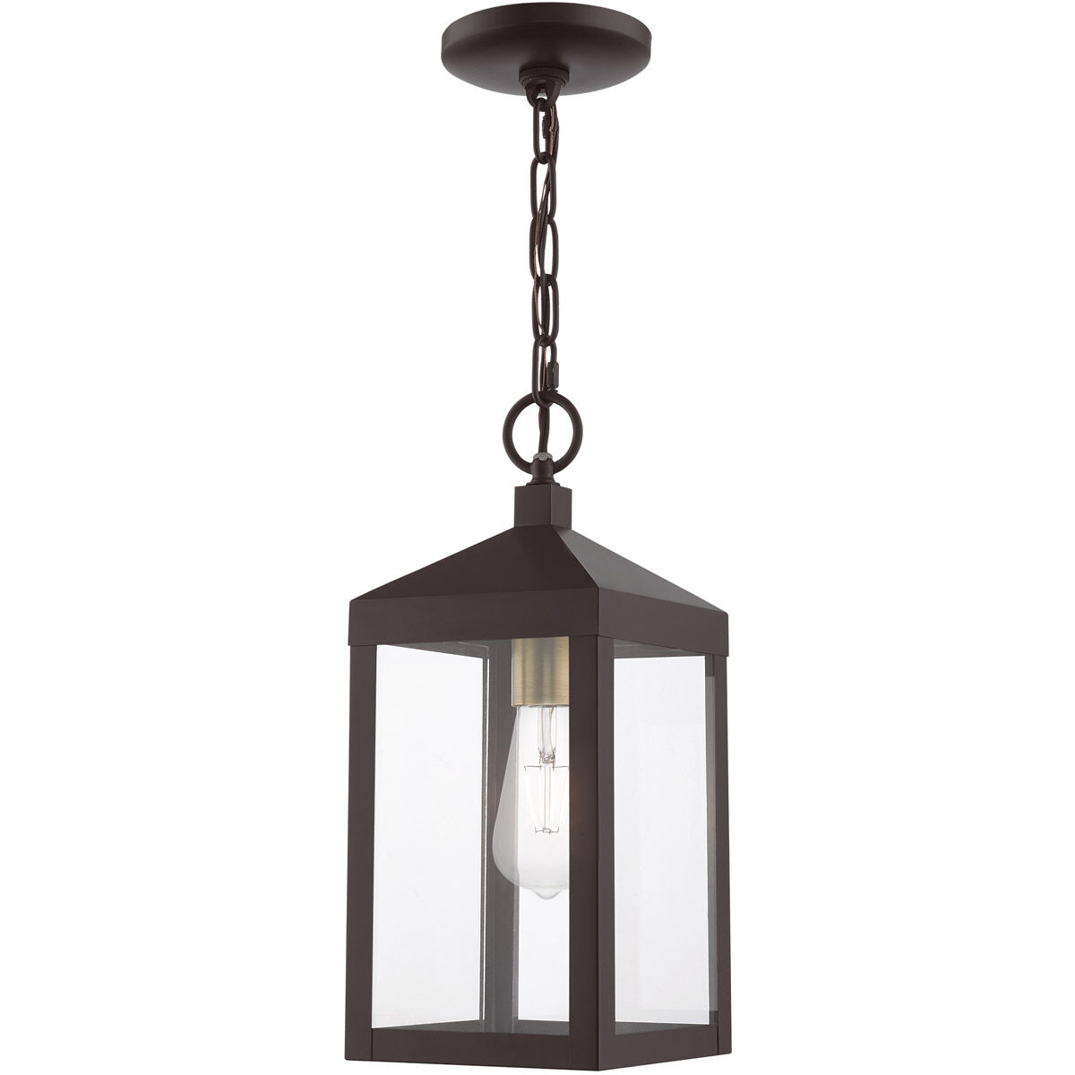 Nyack 1 Light 6.25 inch Bronze with Antique Brass Cluser Outdoor Pendant Lantern