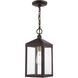 Nyack 1 Light 6.25 inch Bronze with Antique Brass Cluser Outdoor Pendant Lantern