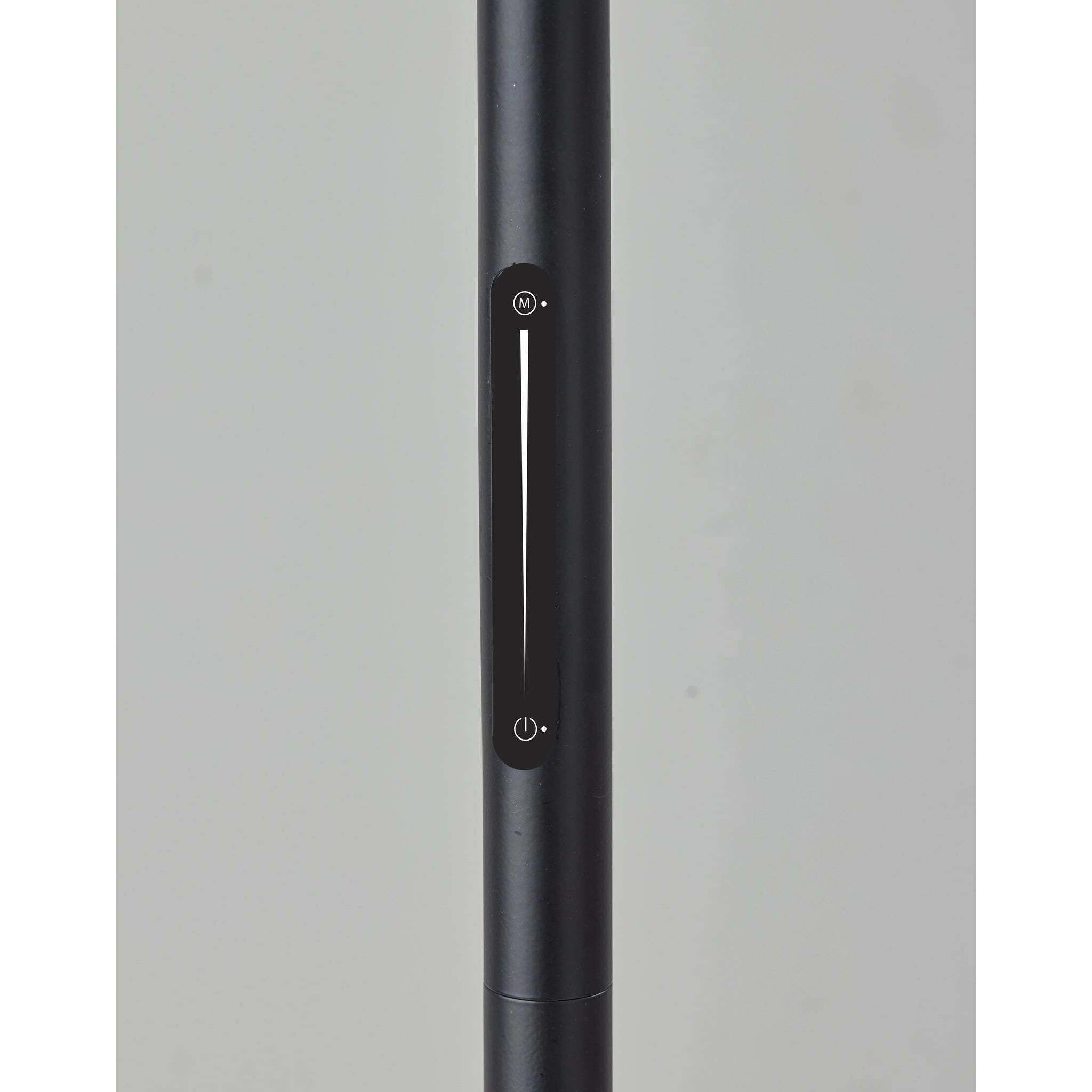 Lawson 60 inch 12.00 watt Black and Antique Brass Floor Lamp Portable Light