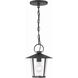 Andover 1 Light 9 inch Matte Black Pendant Ceiling Light in Clear