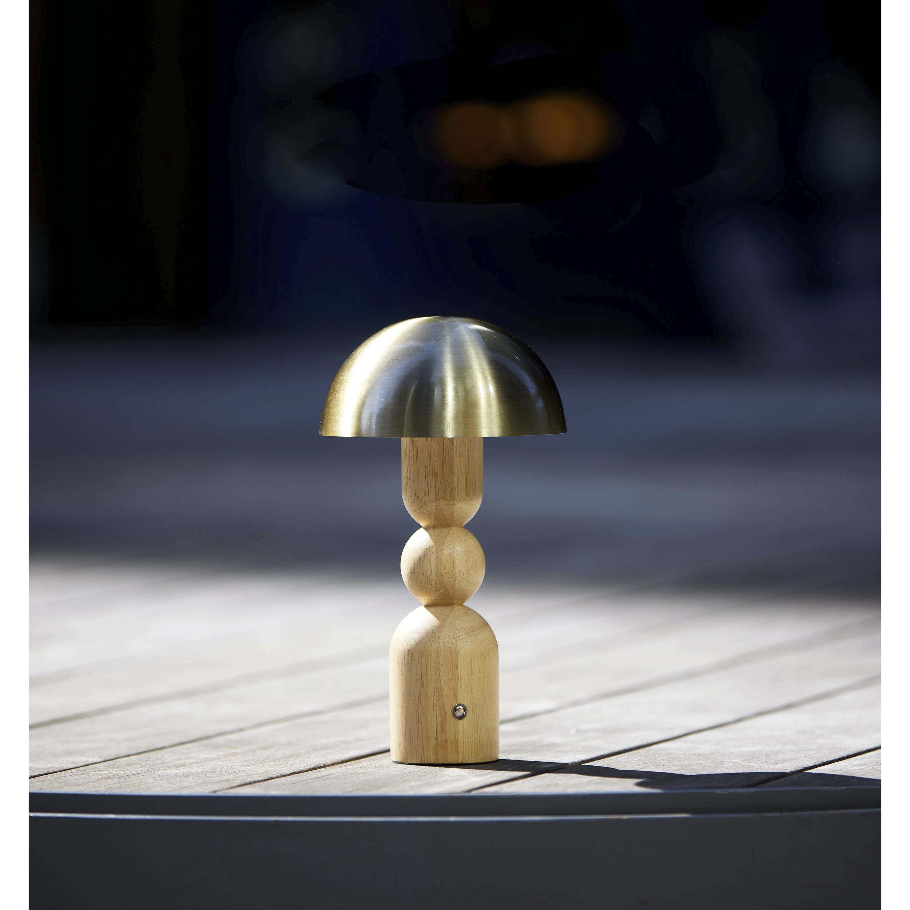 Connie 10.75 inch 2.00 watt Natural and Antique Brass Cordless Table Lamp Portable Light