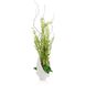 Winged Fern Garden Botanical, Botanical/Floral
