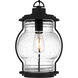 Luther 1 Light 9 inch Earth Black Outdoor Hanging Lantern, Large