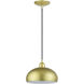 Domma 1 Light 10 inch Soft Gold with Polished Brass Accents Pendant Ceiling Light
