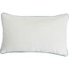 Amy 20 X 5 inch Multi Blue Pillow