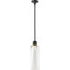 Zigrina 1 Light 5.88 inch Satin Brushed Black with Aged Brass Pendant Ceiling Light