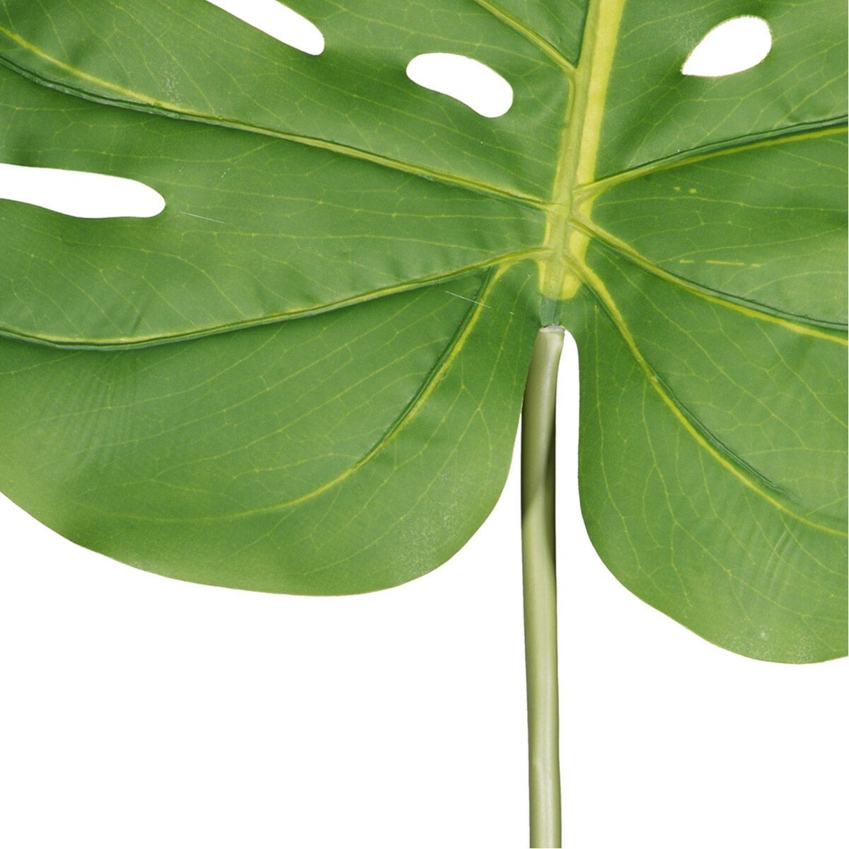 Faux Palm Green Stems