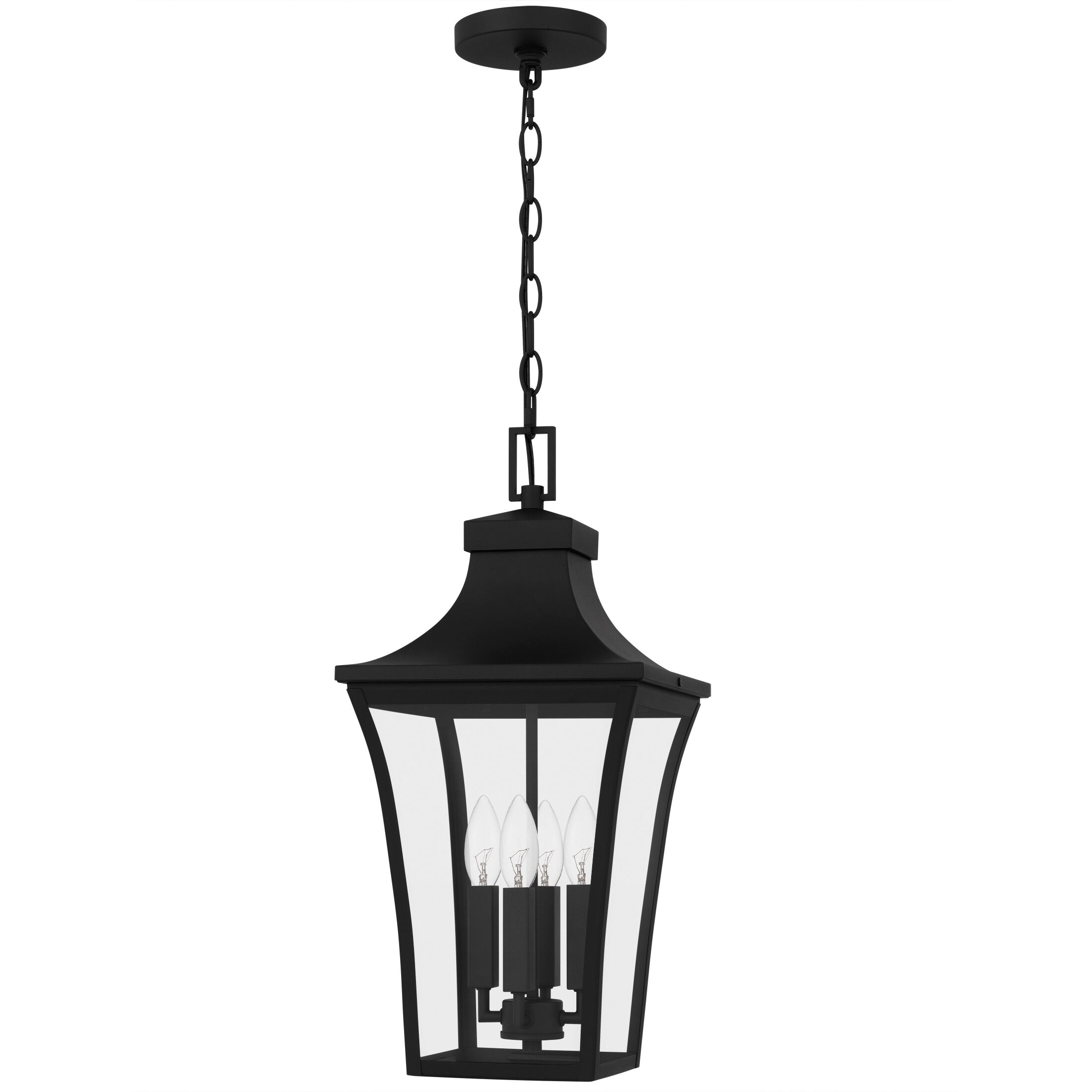 Quentin 4 Light 10 inch Earth Black Outdoor Hanging Lantern, Large