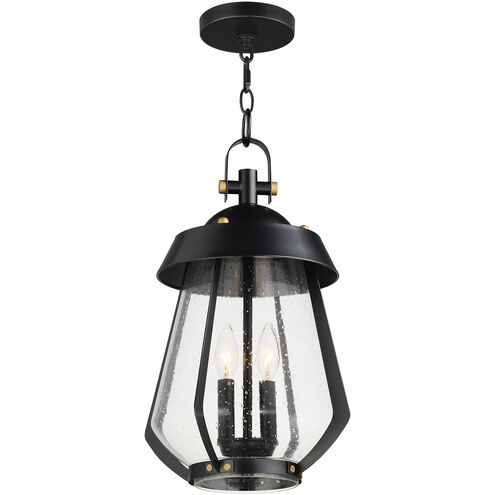 Mariner 2 Light 9.75 inch Black with Antique Brass Outdoor Pendant, Large