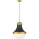 Purelight 1 Light 16.25 inch Legacy Brass and Dark Matte Black Pendant Ceiling Light