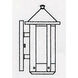 Berkeley 1 Light 11.12 inch Raw Copper Outdoor Wall Mount in Gold White Iridescent
