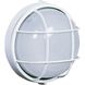 Marine LED 10 inch White Outdoor Wall Light