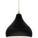 Radiance 1 Light 8 inch Carbon Matte Black and Antique Brass Pendant Ceiling Light