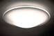 Luma Slim 18 3 Light 18 inch Flush Mount Ceiling Light in Incandescent