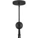 Lisa McDennon Skye 6 Light 24 inch Black Indoor Chandelier Ceiling Light