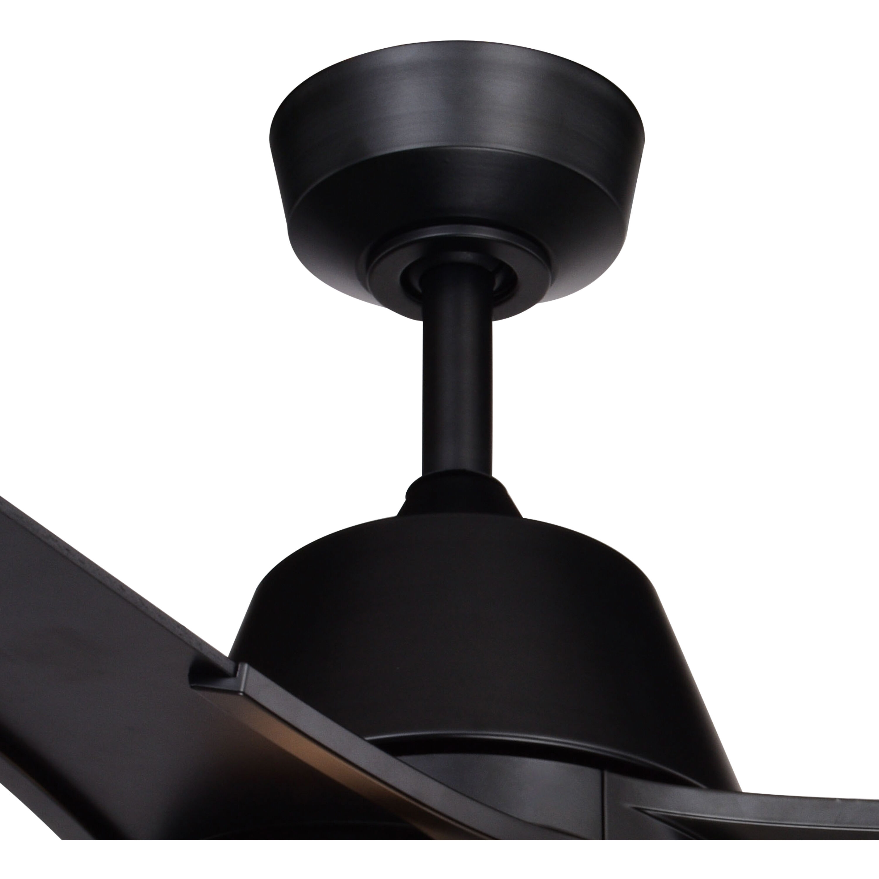 Crescent 22 inch Black with Black-Walnut Blades Ceiling Fan
