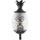 Lanai 2 Light 18 inch Matte Black Exterior Wall Mount