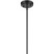 Everly 1 Light Black Pendant Ceiling Light