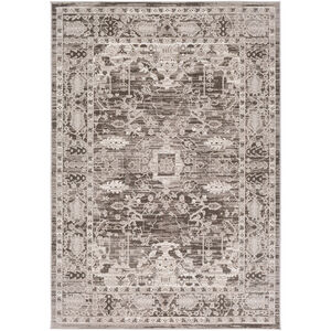 Desire 91 X 63 inch Charcoal/Light Gray/White Rugs