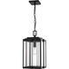 Oakland 1 Light 10.5 inch Powder Coated Black Outdoor Hanging Lantern