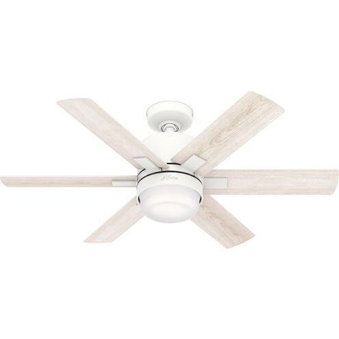 Radeon 44 inch Matte White with Bleached Alder/Fresh White Blades Ceiling Fan