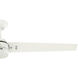 Cassius 60 inch Fresh White with Light Stripe/Fresh White Blades Outdoor Ceiling Fan