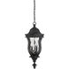 Monticello 3 Light 10 inch Black Outdoor Hanging Lantern