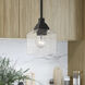 Aragon 1 Light 5 inch Black Mini Pendant Ceiling Light