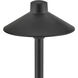 Hardy Island 12v 1.5 watt Brass Satin Black Landscape Path Light