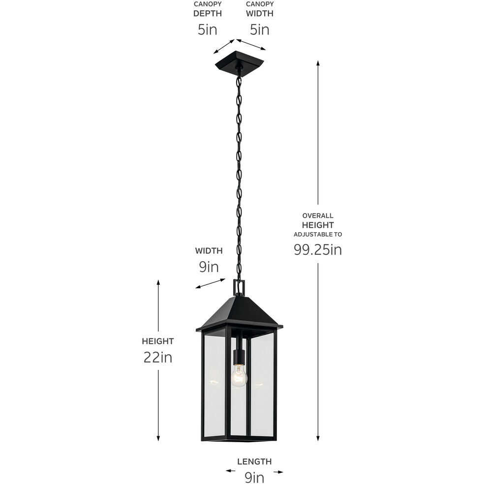Prin 1 Light 9 inch Black Outdoor Hanging Pendant