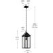 Prin 1 Light 9 inch Black Outdoor Hanging Pendant
