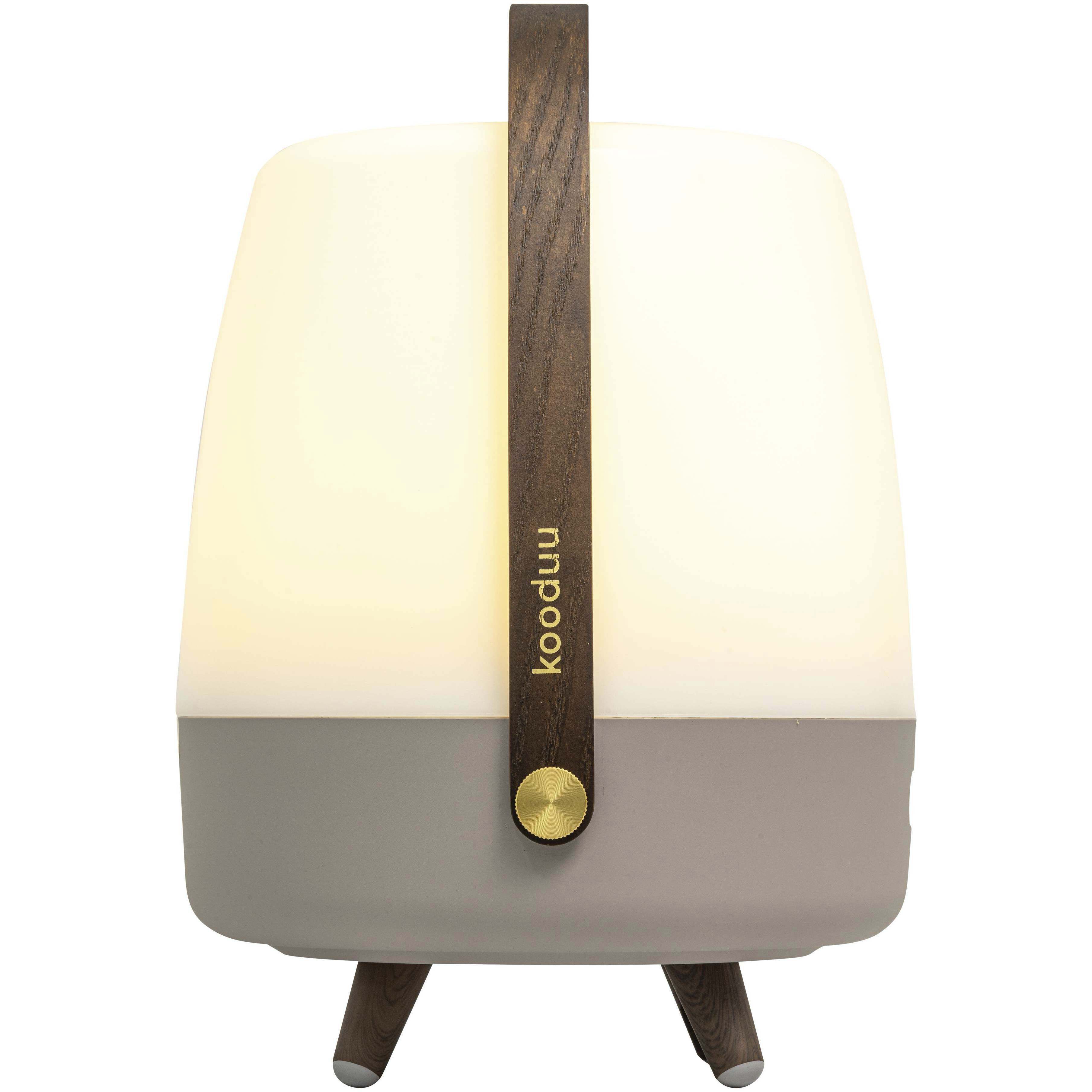 Lite Up Play 15.75 X 11.4 inch Earth Light Brown Taupe Portable Speaker Lamp in Earth Light Brown/Taupe, Kooduu