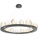 Gem LED 48.7 inch Matte Black Chandelier Ceiling Light, Ring