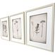 Wildflower Stems Brown and Gray and Neutral Framed Art, Propac