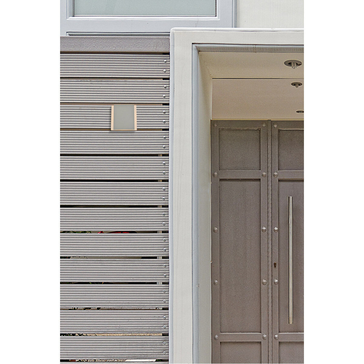 Raine Outdoor Wall Light in Silver