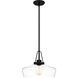 Haven 1 Light 14 inch Matte Black Pendant Ceiling Light