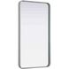 Remy 40 X 22 inch Silver Mirror