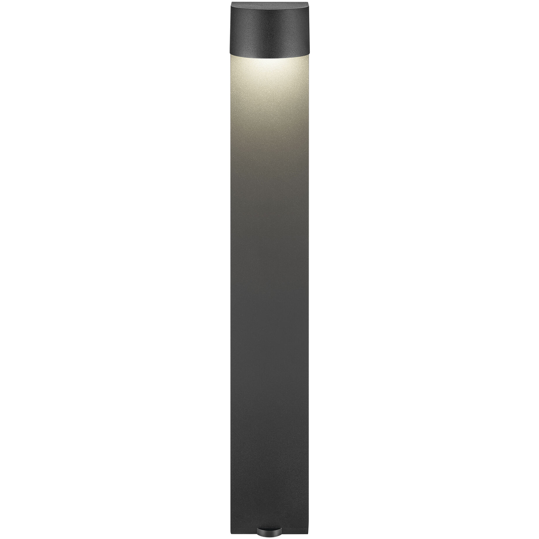 Independence 12 AC/DC 2.75 watt Textured Black Flared Top Path Light in 3000K