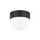 Adams 2 Light 10 inch Old Bronze Flush Mount Ceiling Light, Small