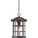 Crusade 1 Light 10 inch Palladian Bronze Outdoor Hanging Lantern