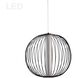 Charlotte LED 17 inch Matte Black Single Drop Pendant Ceiling Light