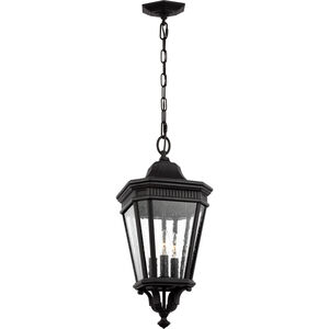 Cotswold Lane 3 Light 9.5 inch Black Outdoor Pendant, Small